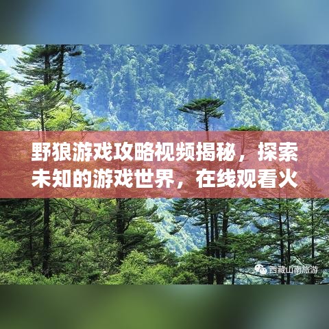 野狼游戏攻略视频揭秘,探索未知的游戏世界,在线观看火热来袭!