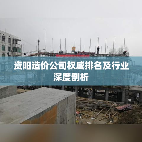 资阳造价公司权威排名及行业深度剖析