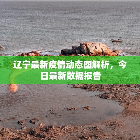 辽宁最新疫情动态图解析,今日最新数据报告