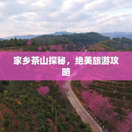 家乡茶山探秘,绝美旅游攻略