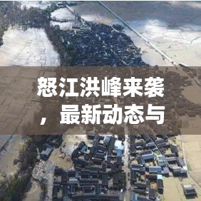 怒江洪峰来袭,最新动态与紧急应对措施