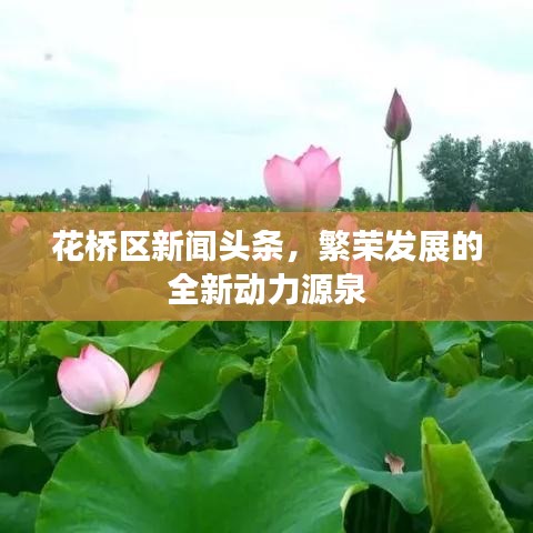 花桥区新闻头条,繁荣发展的全新动力源泉