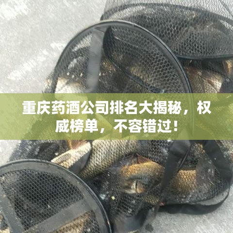 重庆药酒公司排名大揭秘,权威榜单,不容错过!