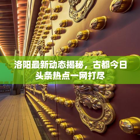 洛阳最新动态揭秘,古都今日头条热点一网打尽