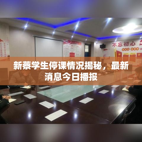 新蔡学生停课情况揭秘,最新消息今日播报