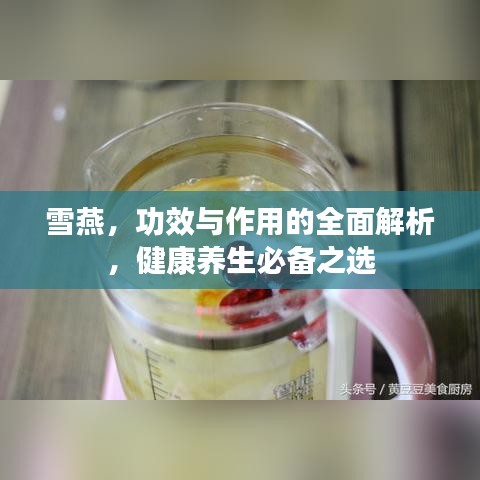 雪燕,功效与作用的全面解析,健康养生必备之选