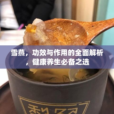 雪燕,功效与作用的全面解析,健康养生必备之选