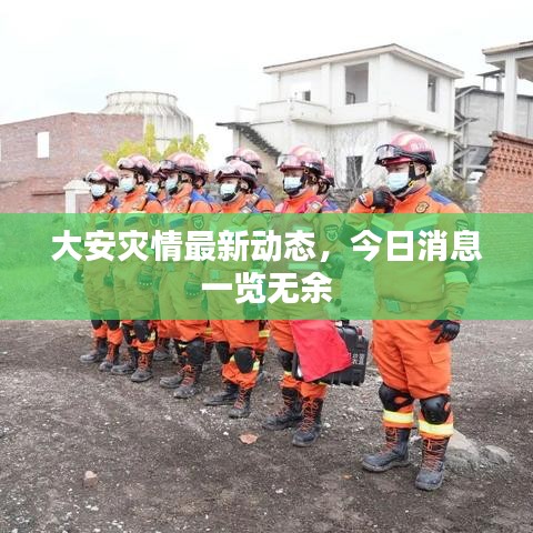 大安灾情最新动态,今日消息一览无余