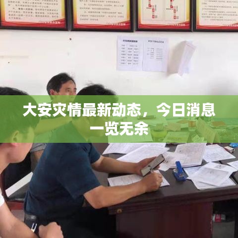 大安灾情最新动态,今日消息一览无余