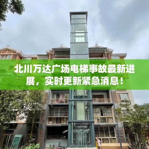 飞鸟依人 第4页