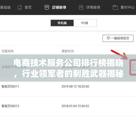 电商技术服务公司排行榜揭晓,行业领军者的制胜武器揭秘!