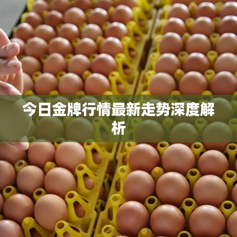 衣不兼彩 第4页