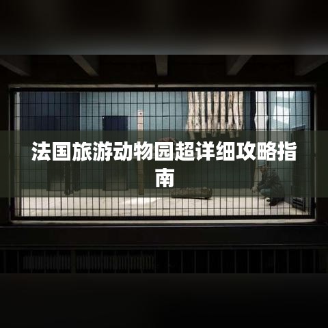 法国旅游动物园超详细攻略指南