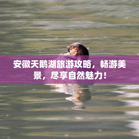 母以子贵 第4页