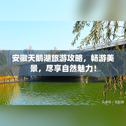 安徽天鹅湖旅游攻略,畅游美景,尽享自然魅力!