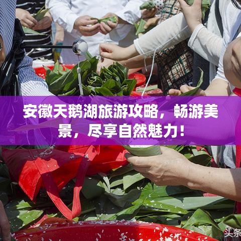 安徽天鹅湖旅游攻略,畅游美景,尽享自然魅力!