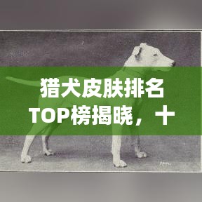 猎犬皮肤排名TOP榜揭晓,十大最受欢迎猎犬皮肤推荐
