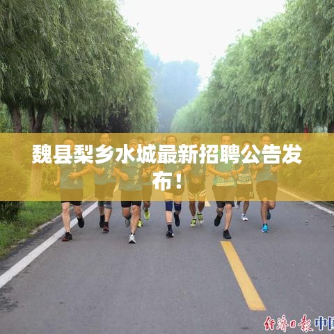 魏县梨乡水城最新招聘公告发布!
