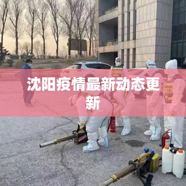 沈阳疫情最新动态更新