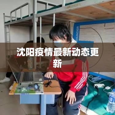 沈阳疫情最新动态更新