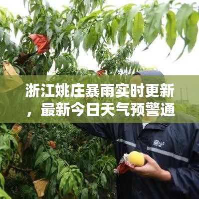 浙江姚庄暴雨实时更新,最新今日天气预警通知