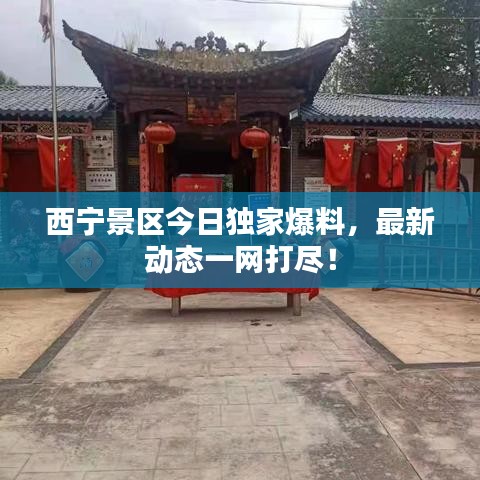 西宁景区今日独家爆料,最新动态一网打尽!