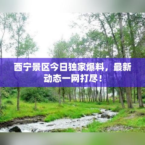 西宁景区今日独家爆料,最新动态一网打尽!