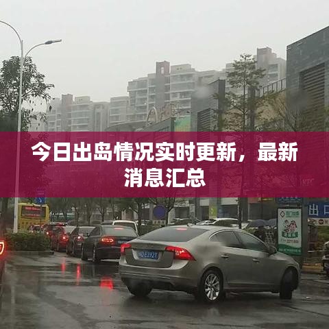 今日出岛情况实时更新,最新消息汇总