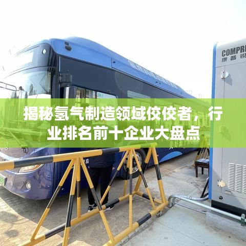 揭秘氢气制造领域佼佼者,行业排名前十企业大盘点