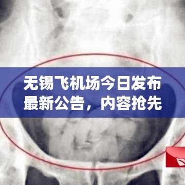 无锡飞机场今日发布最新公告,内容抢先看!