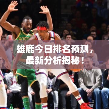 雄鹿今日排名预测,最新分析揭秘!