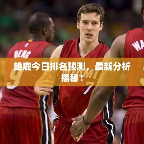 雄鹿今日排名预测,最新分析揭秘!