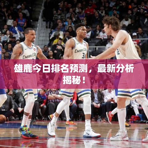 雄鹿今日排名预测,最新分析揭秘!