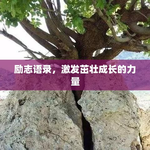 励志语录,激发茁壮成长的力量