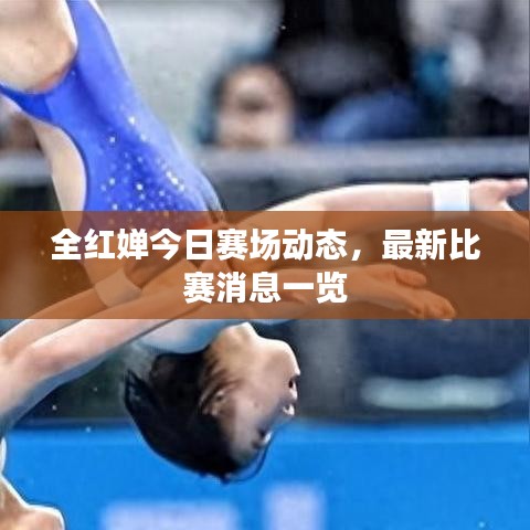 全红婵今日赛场动态,最新比赛消息一览