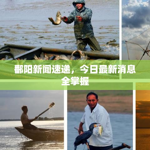 鄱阳新闻速递,今日最新消息全掌握