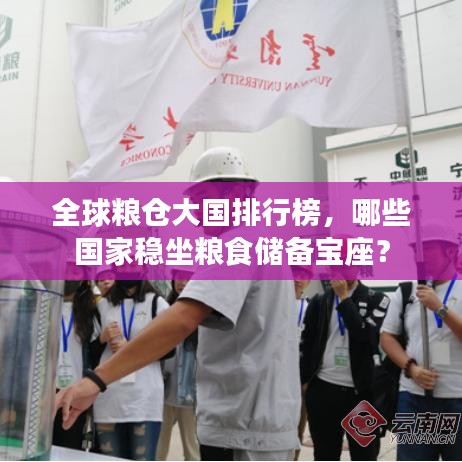 全球粮仓大国排行榜,哪些国家稳坐粮食储备宝座?