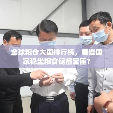 全球粮仓大国排行榜,哪些国家稳坐粮食储备宝座?