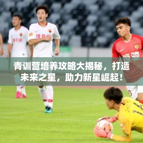 青训营培养攻略大揭秘,打造未来之星,助力新星崛起!