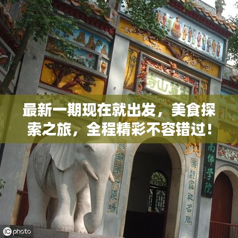 最新一期现在就出发,美食探索之旅,全程精彩不容错过!