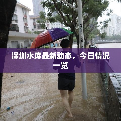 深圳水库最新动态,今日情况一览