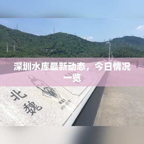 深圳水库最新动态,今日情况一览