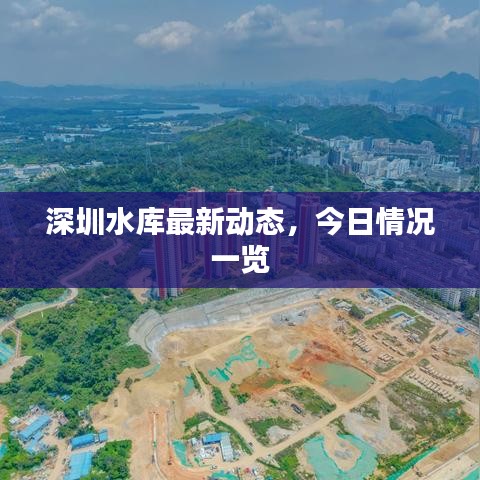 深圳水库最新动态,今日情况一览