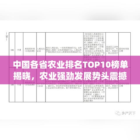 中国各省农业排名TOP10榜单揭晓,农业强劲发展势头震撼亮相!