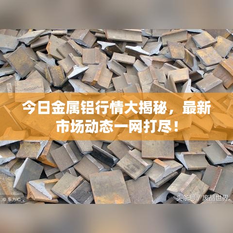 今日金属铝行情大揭秘，最新市场动态一网打尽！