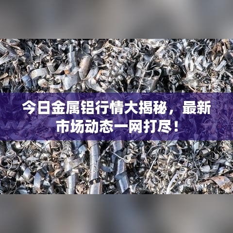 今日金属铝行情大揭秘,最新市场动态一网打尽!