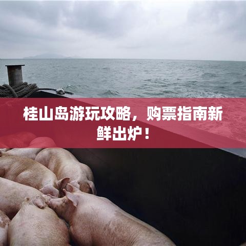 心急如焚 第4页