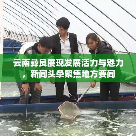 云南彝良展现发展活力与魅力,新闻头条聚焦地方要闻