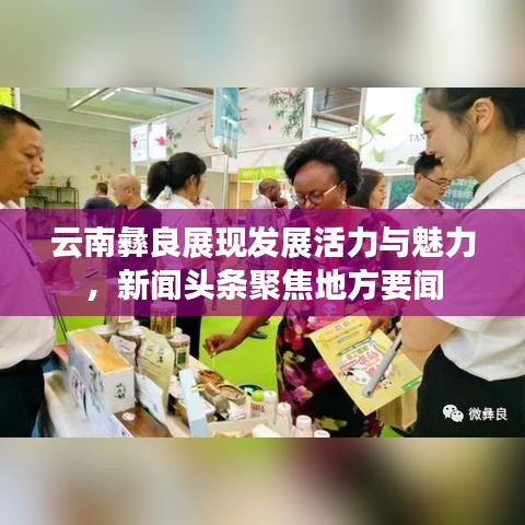云南彝良展现发展活力与魅力,新闻头条聚焦地方要闻