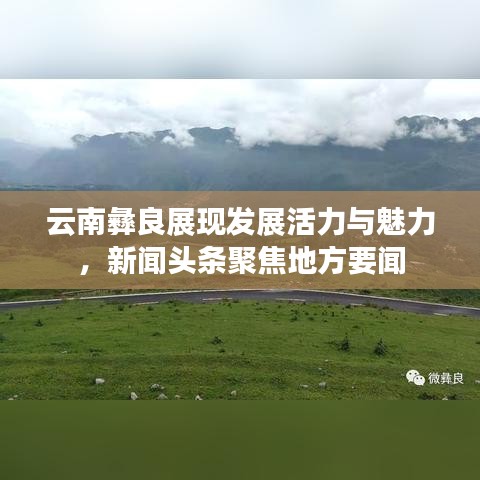 云南彝良展现发展活力与魅力,新闻头条聚焦地方要闻